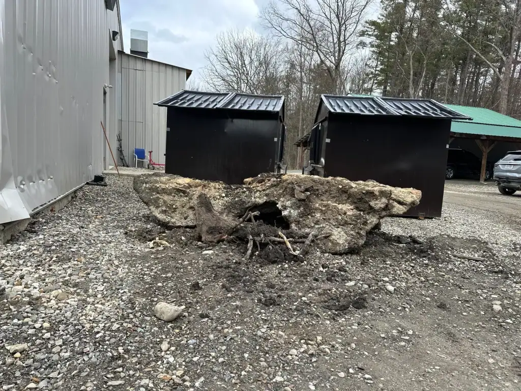 A large uprooted tree stump with exposed roots lies on gravel near two black sheds and a metal building, the result of excavating contractors in Saratoga County, NY; trees and parked cars are visible in the background.