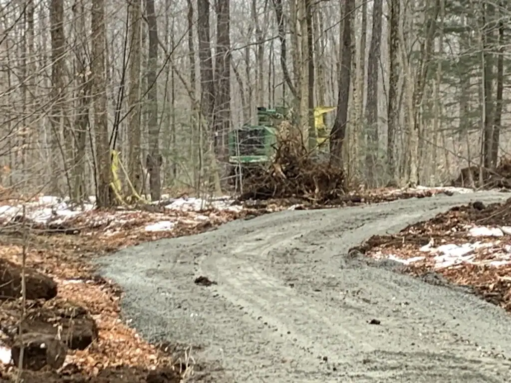 A gravel road winds through a NY forest with bare trees and patches of snow. A green forestry machine from excavating contractors Saratoga County is partially visible behind tree debris, while yellow caution tape is draped on nearby trees.
