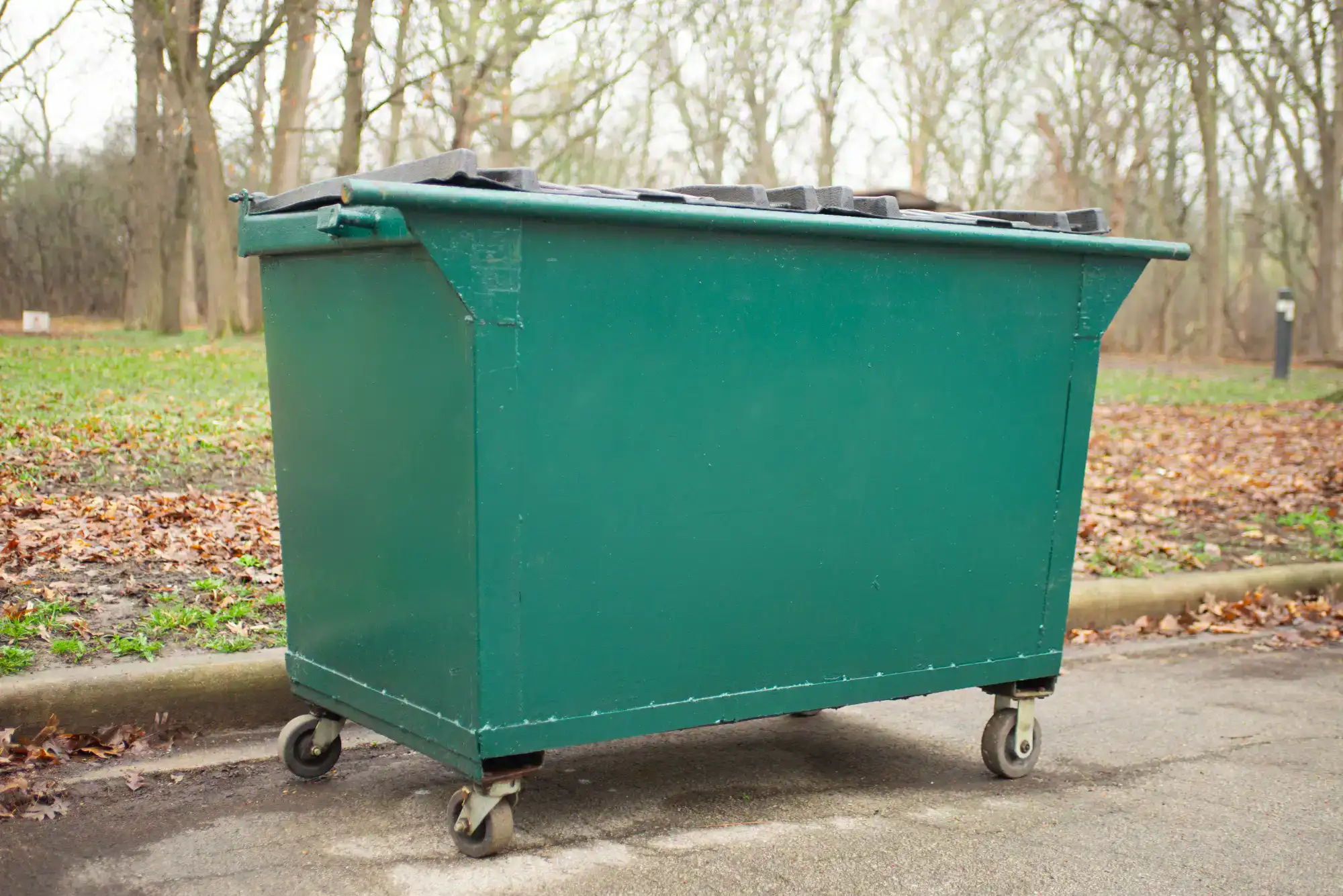 A large green dumpster with a closed lid stands on wheels near a curb in an outdoor park area, with bare trees and fallen leaves visible in the background.