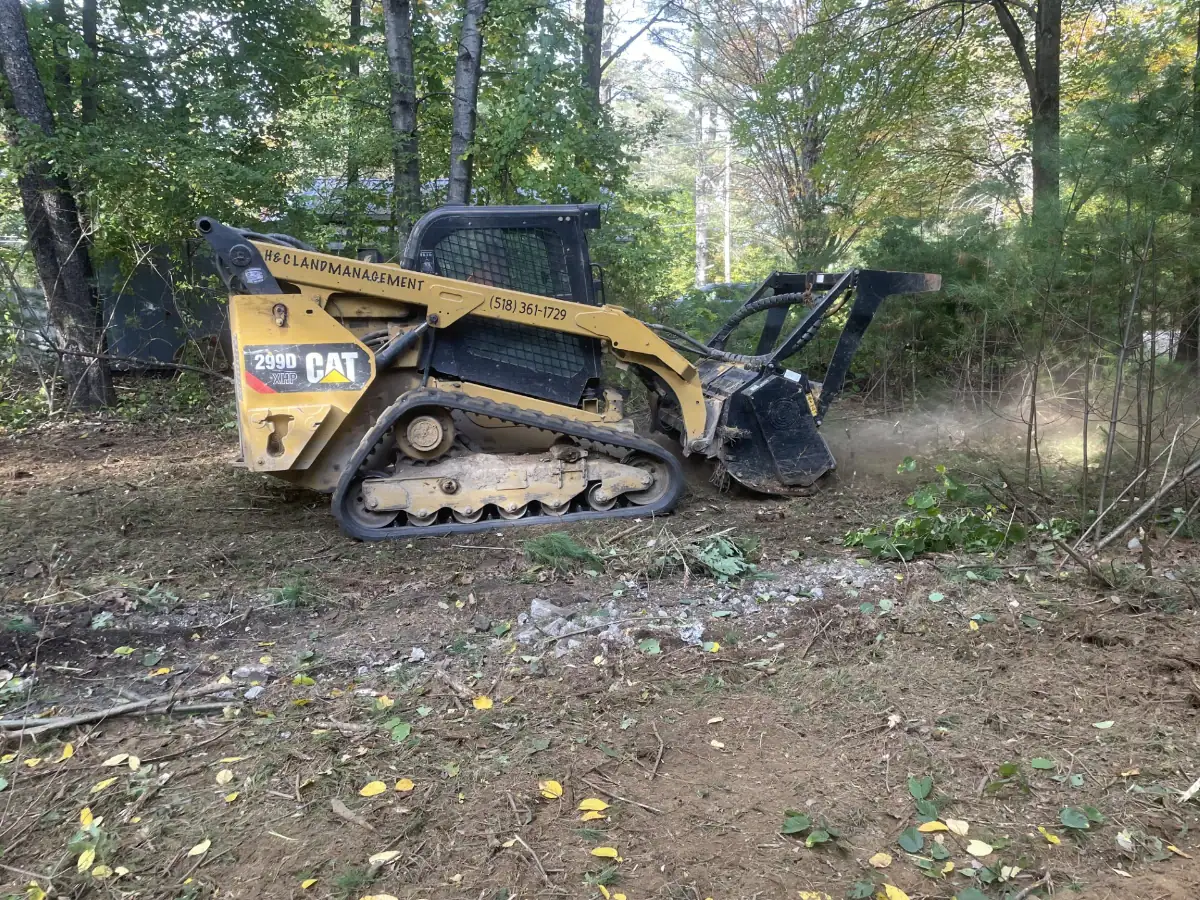 A yellow Caterpillar skid steer with a forestry mulcher attachment clears brush and small trees in a wooded area, creating a path through the vegetation—ideal for excavating contractors in Saratoga County, NY.