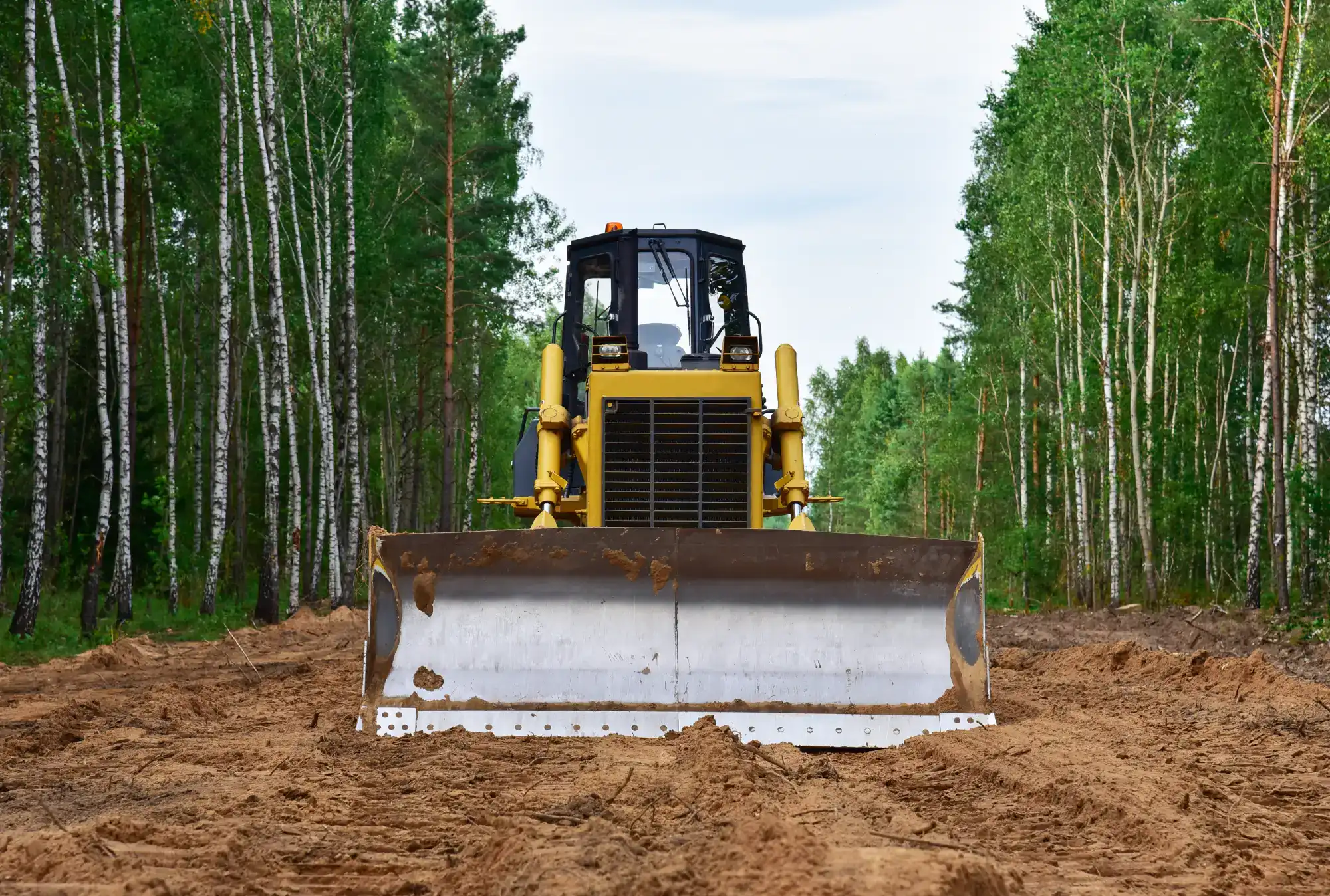 A yellow bulldozer is clearing a dirt path in a forested area, surrounded by tall green trees on both sides under a cloudy sky.