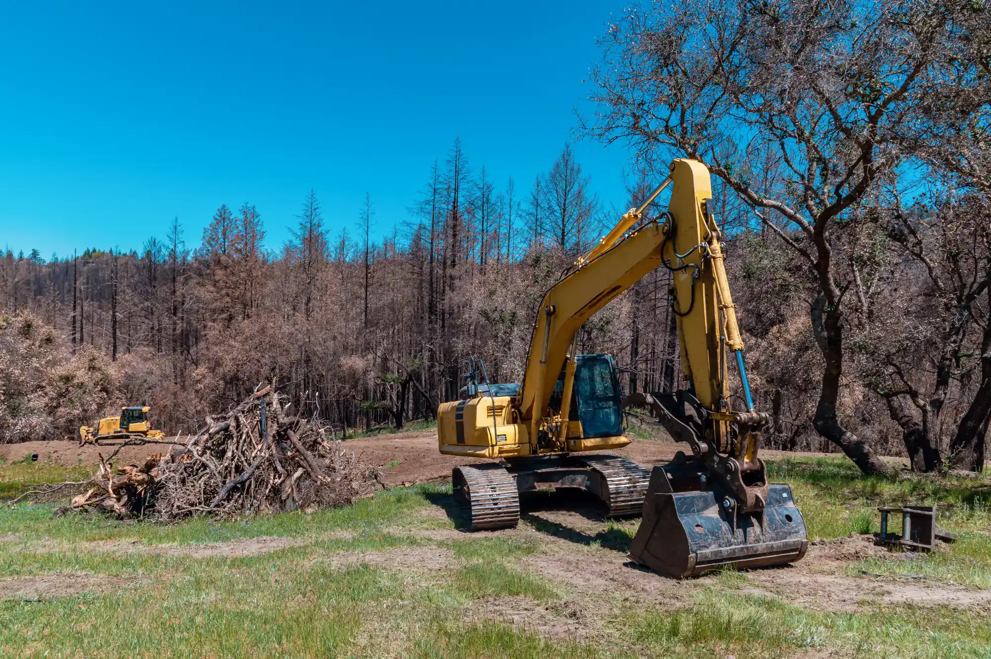 A yellow excavator is parked on grass near a pile of branches, with another excavator visible in the background and leafless trees under a clear blue sky.